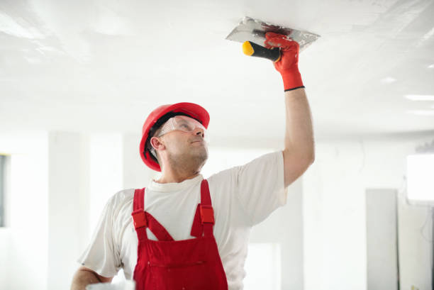 Best Drywall Removal and Disposal  in West Union, IA