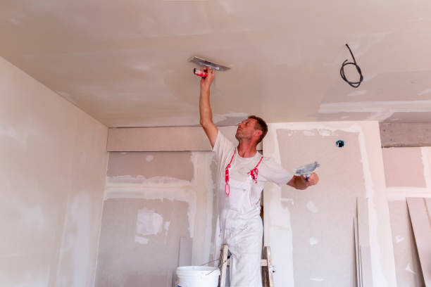 Best Drywall Texturing  in West Union, IA